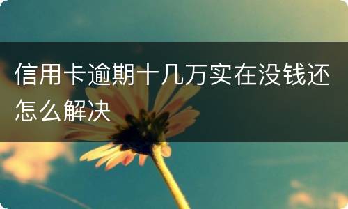 信用卡逾期十几万实在没钱还怎么解决