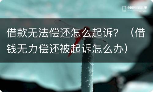 借款无法偿还怎么起诉？（借钱无力偿还被起诉怎么办）