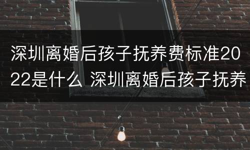深圳离婚后孩子抚养费标准2022是什么 深圳离婚后孩子抚养费标准2022是什么样的