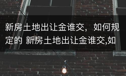 新房土地出让金谁交，如何规定的 新房土地出让金谁交,如何规定的呢