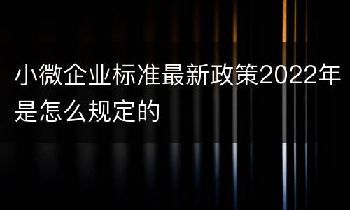 小微企业标准最新政策2022年是怎么规定的