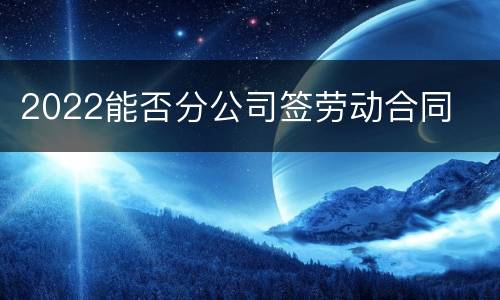 2022能否分公司签劳动合同