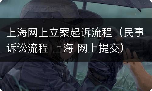 上海网上立案起诉流程（民事诉讼流程 上海 网上提交）