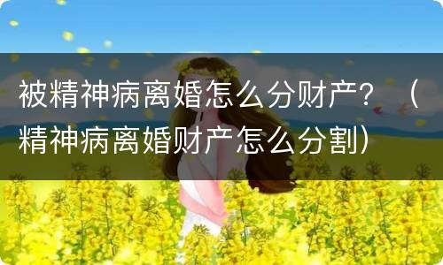 被精神病离婚怎么分财产？（精神病离婚财产怎么分割）