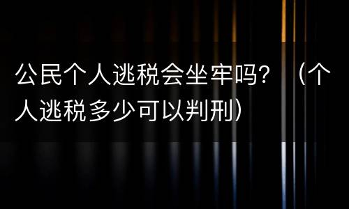 公民个人逃税会坐牢吗？（个人逃税多少可以判刑）