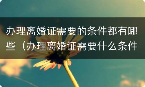 办理离婚证需要的条件都有哪些（办理离婚证需要什么条件）