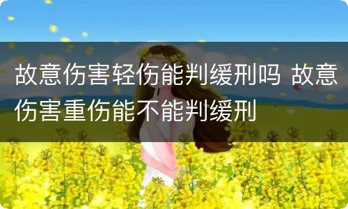 故意伤害轻伤能判缓刑吗 故意伤害重伤能不能判缓刑