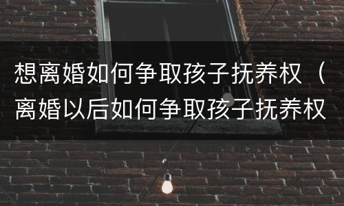 想离婚如何争取孩子抚养权（离婚以后如何争取孩子抚养权）