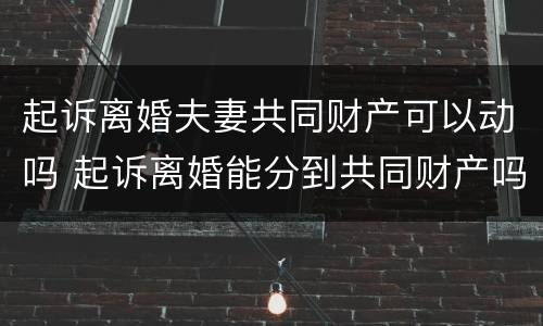起诉离婚夫妻共同财产可以动吗 起诉离婚能分到共同财产吗