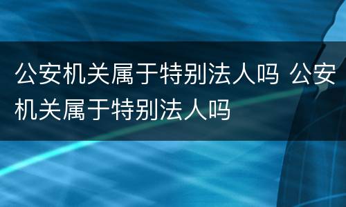 公安机关属于特别法人吗 公安机关属于特别法人吗