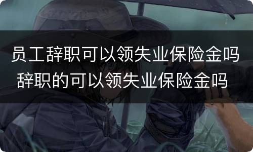 员工辞职可以领失业保险金吗 辞职的可以领失业保险金吗
