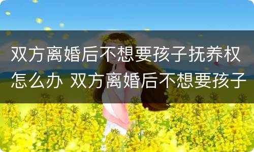 双方离婚后不想要孩子抚养权怎么办 双方离婚后不想要孩子抚养权怎么办呢