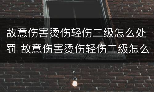 故意伤害烫伤轻伤二级怎么处罚 故意伤害烫伤轻伤二级怎么处罚的