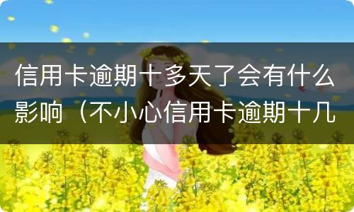 信用卡逾期十多天了会有什么影响（不小心信用卡逾期十几天关系大吗）