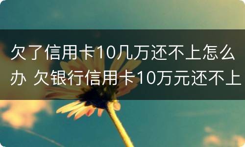 欠了信用卡10几万还不上怎么办 欠银行信用卡10万元还不上怎么办?