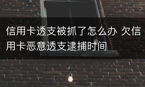 信用卡透支被抓了怎么办 欠信用卡恶意透支逮捕时间
