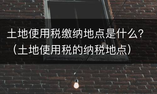 土地使用税缴纳地点是什么？（土地使用税的纳税地点）