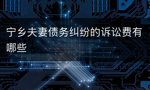 宁乡夫妻债务纠纷的诉讼费有哪些