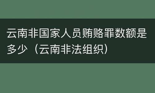 云南非国家人员贿赂罪数额是多少（云南非法组织）