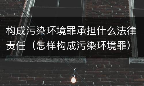 构成污染环境罪承担什么法律责任（怎样构成污染环境罪）