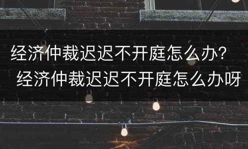 经济仲裁迟迟不开庭怎么办？ 经济仲裁迟迟不开庭怎么办呀