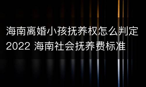 海南离婚小孩抚养权怎么判定2022 海南社会抚养费标准
