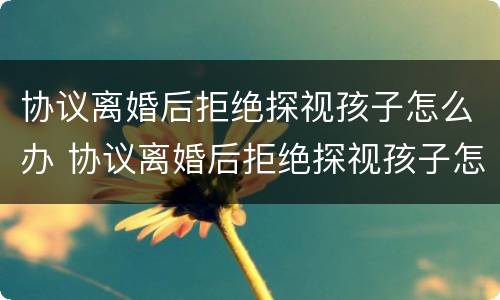 协议离婚后拒绝探视孩子怎么办 协议离婚后拒绝探视孩子怎么办理