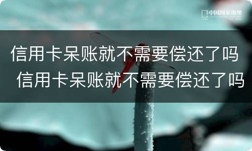 信用卡呆账就不需要偿还了吗 信用卡呆账就不需要偿还了吗