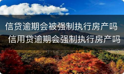 信贷逾期会被强制执行房产吗 信用贷逾期会强制执行房产吗