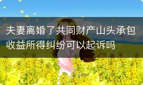 夫妻离婚了共同财产山头承包收益所得纠纷可以起诉吗