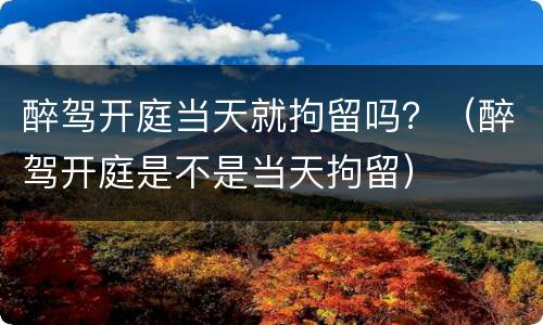 醉驾开庭当天就拘留吗？（醉驾开庭是不是当天拘留）