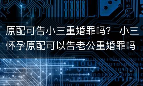 原配可告小三重婚罪吗？ 小三怀孕原配可以告老公重婚罪吗
