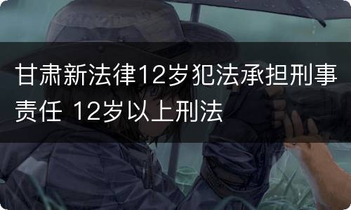 甘肃新法律12岁犯法承担刑事责任 12岁以上刑法