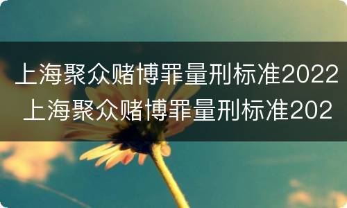 上海聚众赌博罪量刑标准2022 上海聚众赌博罪量刑标准2022年