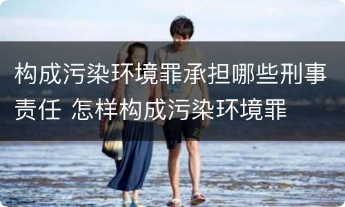 构成污染环境罪承担哪些刑事责任 怎样构成污染环境罪