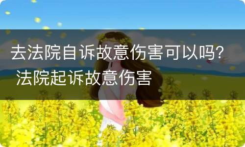 去法院自诉故意伤害可以吗？ 法院起诉故意伤害