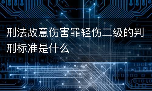 刑法故意伤害罪轻伤二级的判刑标准是什么