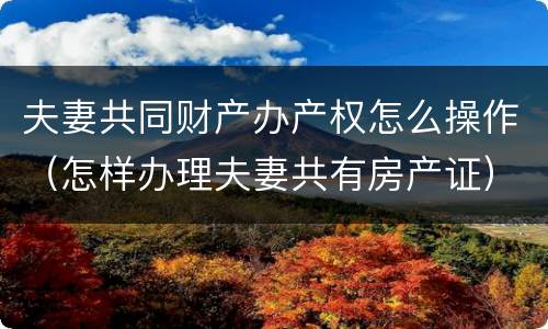 夫妻共同财产办产权怎么操作（怎样办理夫妻共有房产证）