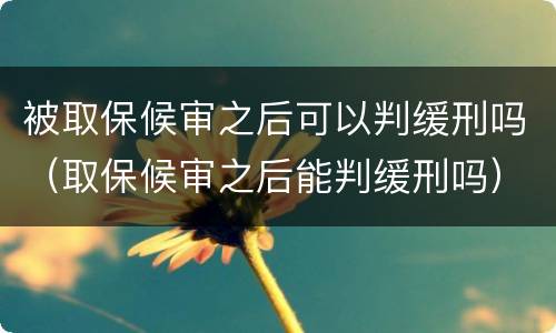被取保候审之后可以判缓刑吗（取保候审之后能判缓刑吗）