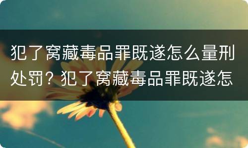 犯了窝藏毒品罪既遂怎么量刑处罚? 犯了窝藏毒品罪既遂怎么量刑处罚