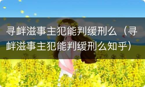 寻衅滋事主犯能判缓刑么（寻衅滋事主犯能判缓刑么知乎）