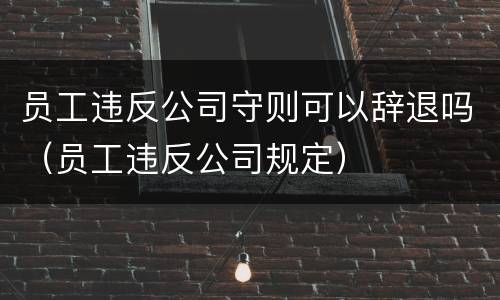 员工违反公司守则可以辞退吗（员工违反公司规定）