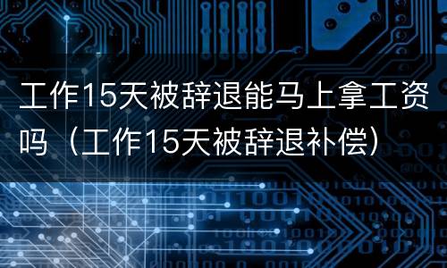 工作15天被辞退能马上拿工资吗（工作15天被辞退补偿）