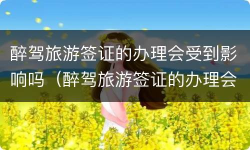 醉驾旅游签证的办理会受到影响吗（醉驾旅游签证的办理会受到影响吗知乎）
