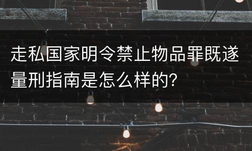 走私国家明令禁止物品罪既遂量刑指南是怎么样的？