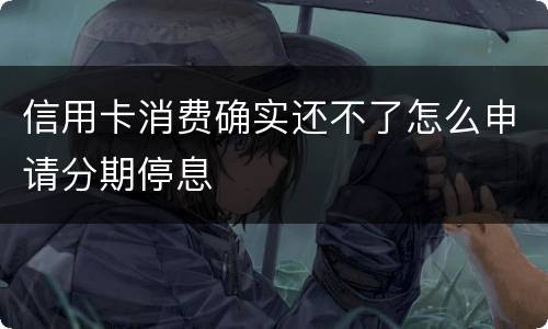 信用卡消费确实还不了怎么申请分期停息