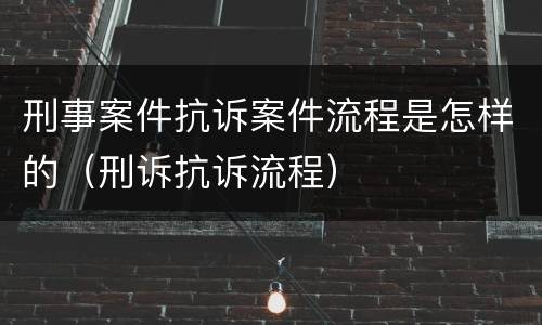 刑事案件抗诉案件流程是怎样的（刑诉抗诉流程）