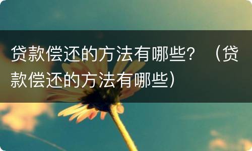 贷款偿还的方法有哪些？（贷款偿还的方法有哪些）