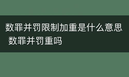 数罪并罚限制加重是什么意思 数罪并罚重吗