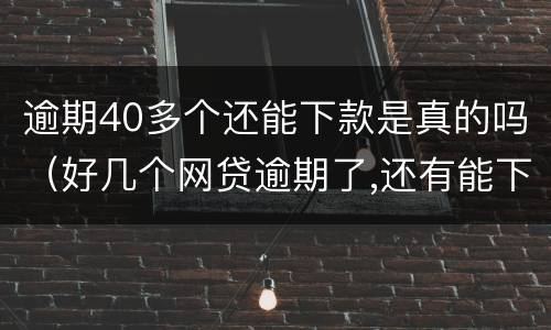逾期40多个还能下款是真的吗（好几个网贷逾期了,还有能下款的吗）